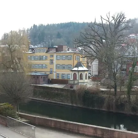 Monteurwohnung Camila Apartamento Calw